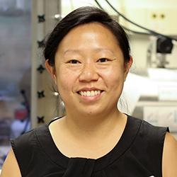 STEAM Member Anne Co wins an NSF CAREER Award for "Control of surface  reactivity for catalyzing hydrocarbon formation from CO₂" | The STEAM  Factory at The Ohio State University