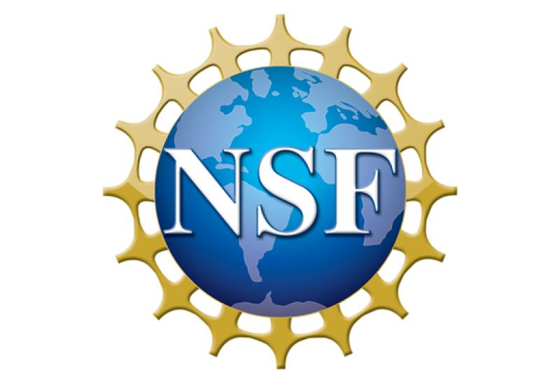 NSF Award Logo National Science Foundation Award Logo
