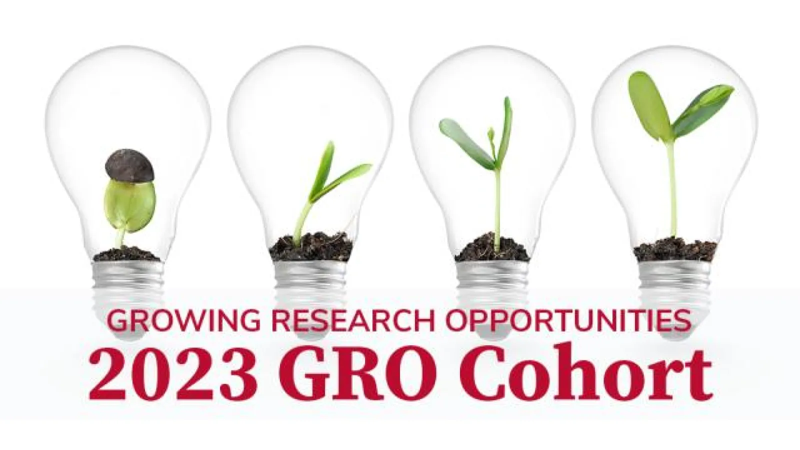 Growing Research opportunities 2023 GRO Cohort