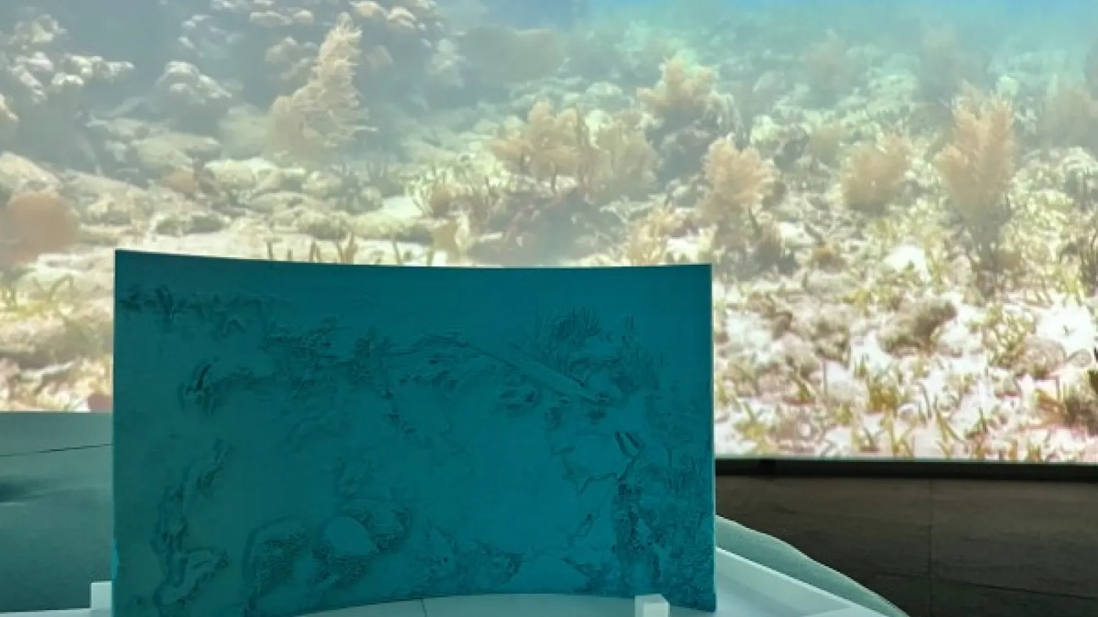 Image of tactile image at Wex