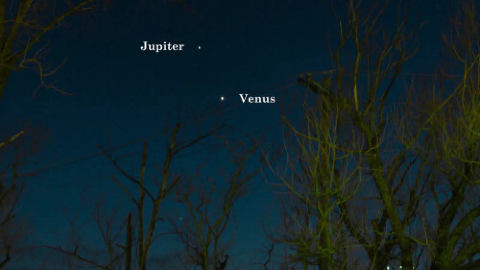 The night sky with Jupiter and Venus labeled 