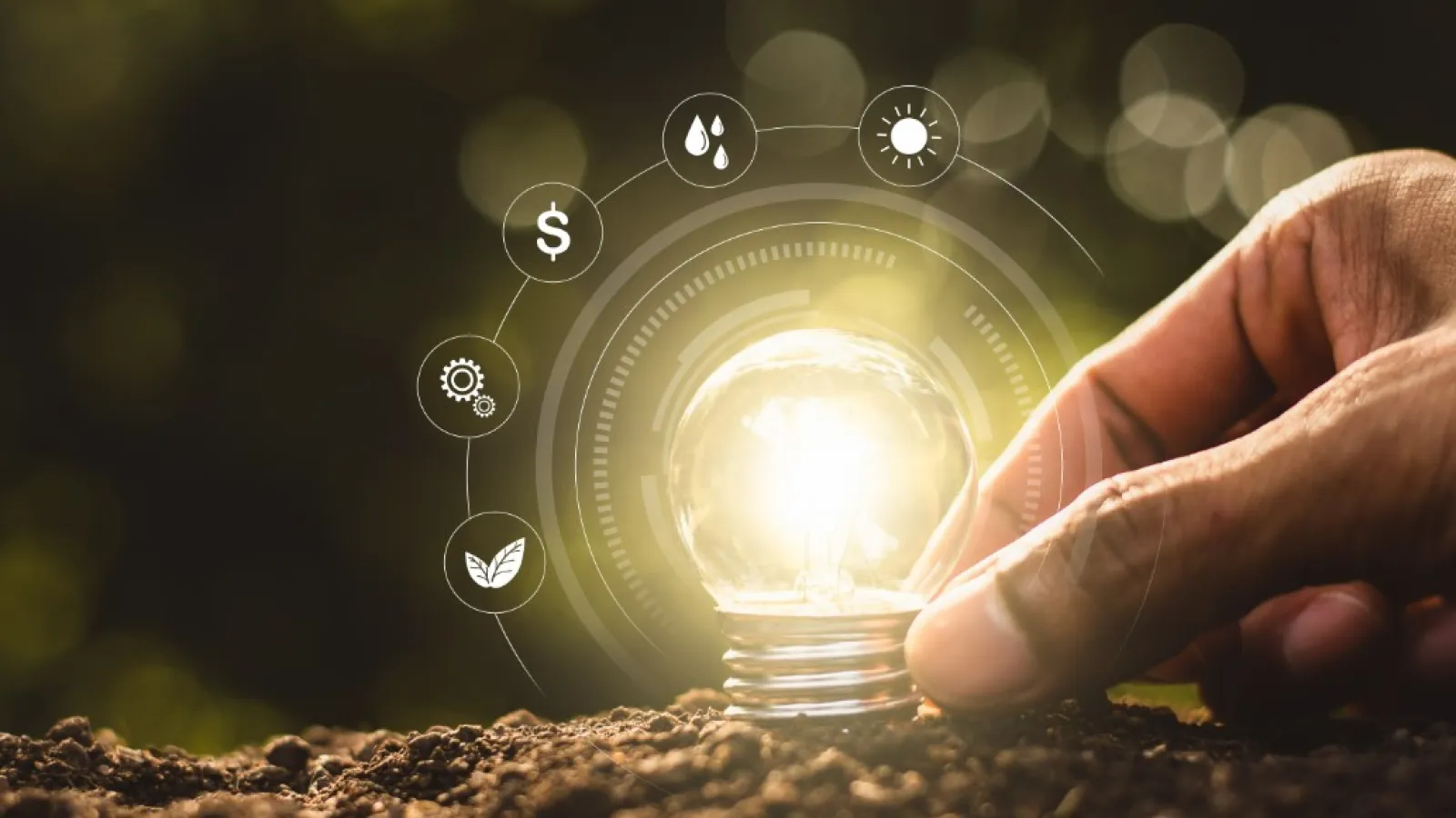 A hand holding a light bulb that is glowing and on top of the ground, surrounded by icons: Leaf, magnifying glass, dollar sign, water droplets and Sun.