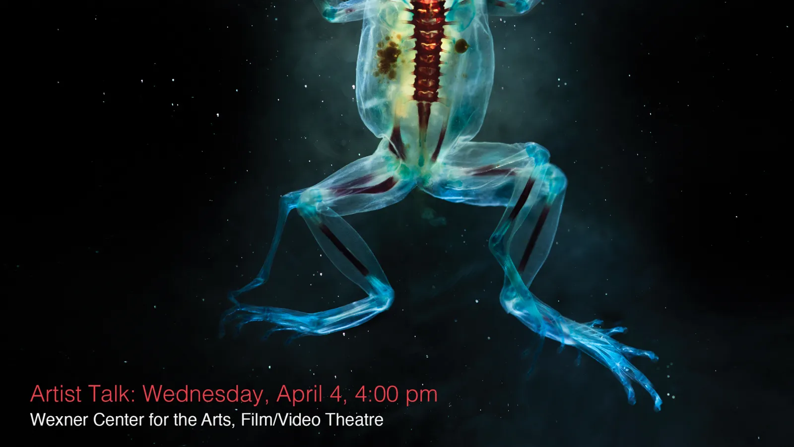 Artist Talk flyer with Brandon Ballengée
