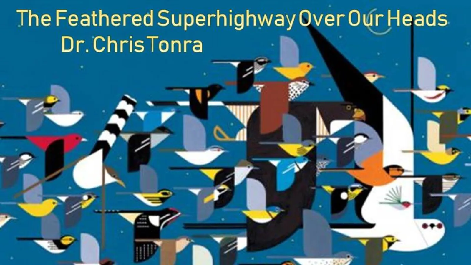 Feathered Superhighway