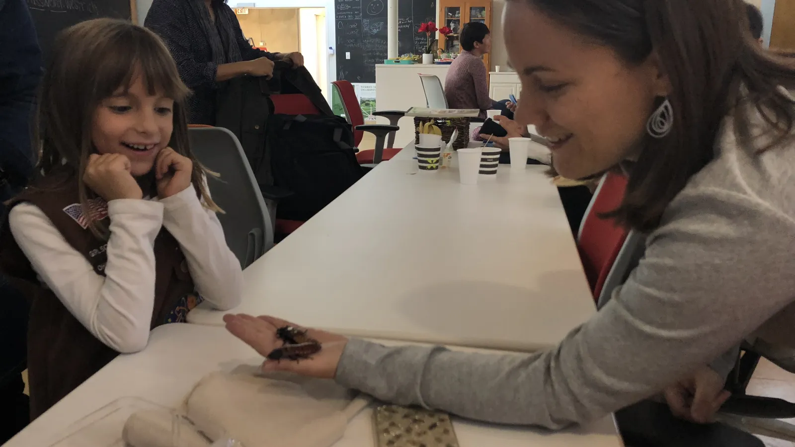 woman holding two beetles out for a young girl who is excited