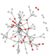 A visualization portraying the state of STEAM Factory's network as of 2019, showing new members highlighted in red.  