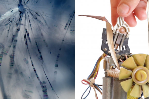 two images side by side, one is a microscopic closeup of a plant and the other is a hand feeding something into machinery