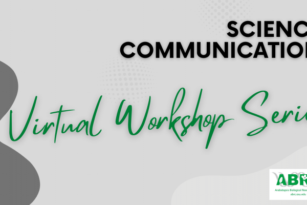 Workshop series banner