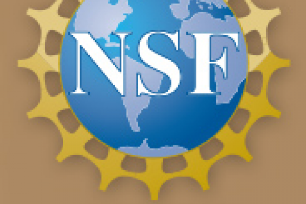NSF Award Logo