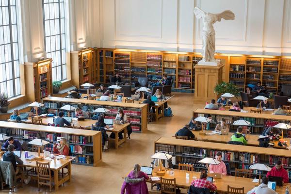 Students studying in library