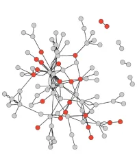 A visualization portraying the state of STEAM Factory's network as of 2019, showing new members highlighted in red.&nbsp;&nbsp;